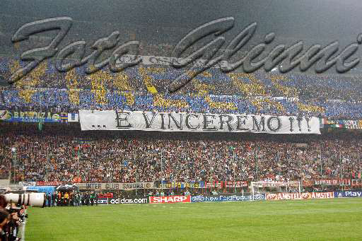 Foto #239